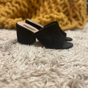 Steve Madden Mules